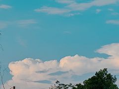-习家池