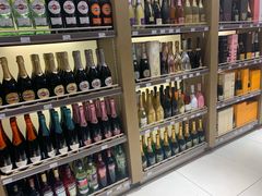 -谢列梅捷沃国际机场