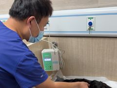 -北京观赏动物医院·24小时大型综合·猫专科·异宠专科