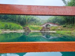 -龙坞茶村