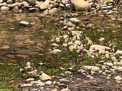 -千峡湖生态旅游度假区