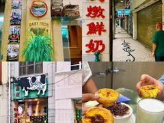 -义顺牛奶公司(板樟堂店)