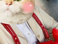 -星巴克(南京同曦万尚城店)