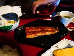 鳗鱼套餐-料亭菊水楼