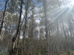 -萨尔浒风景区