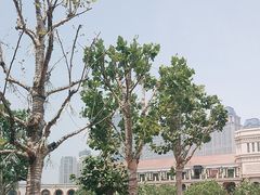 -天津五大道文化旅游区