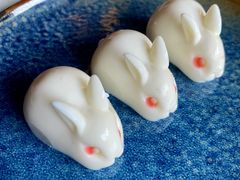 -侨美·唐荔园·40年地道粤菜