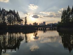 -黄兴公园