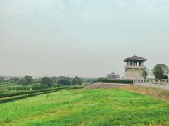 -西安浐灞国家湿地公园
