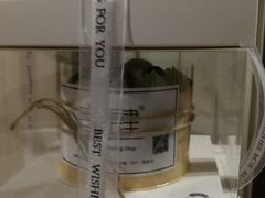 -蜜肆动物奶油蛋糕·个性定制·下午茶甜品