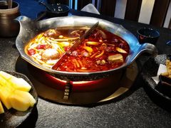 台式麻辣花胶鸡鸳鸯锅-湊湊火锅·茶憩(世博大道店)