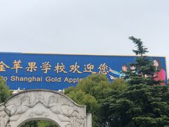 -上海市民办金苹果学校