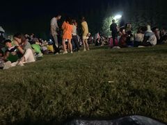 -黄海国家森林公园