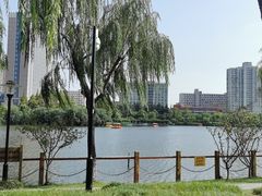 -黄兴公园