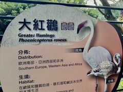 -九龙公园