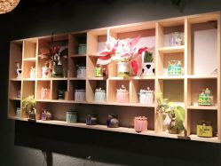 -小熊维尼高端儿童摄影(宝安旗舰店)