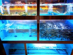 -樽宴酒楼·地道川菜·品质宴请