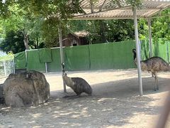 -苏州上方山国家森林公园