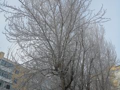 -哈尔滨师范大学(江南校区)