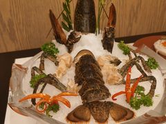 -斯普汇生蚝牛排馆(中骏世界城店)
