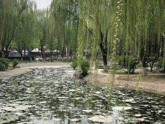 -丰台科技园生态主题公园