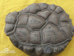 -伏羲大峡谷