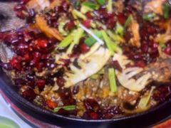 -老板恋上鱼(高新万达店)