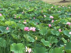 -昆承湖酒家·本帮农家菜