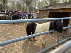 -长白岛森林公园