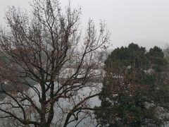 -蒋氏故居