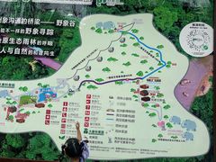 -野象谷景区