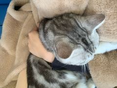 -芭比堂爱心动物医院·心脏科·犬猫内科(越城可乐分院)