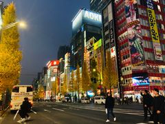 -秋叶原电器街