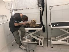 -comecome来吧宠物(奥克斯中心店)