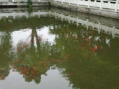 android_upload_pic-龚家花园农家乐休闲别墅