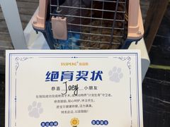 -宠颐生斯嘉宠物医院·急重症·心内科(谷阳北路分院)