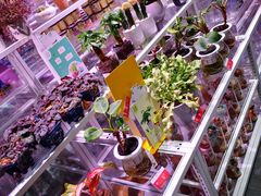 -KKV(上海月星环球港主力店)