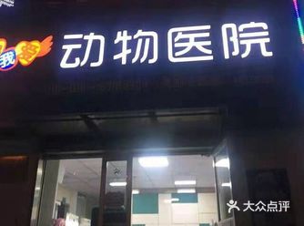 人类的世界很复杂，可是毛孩子们的世界却很单纯
