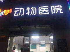 -瑞派宠物医院·24h·骨外科·皮肤科·全科宠物医疗转诊中心(沈阳浑南院)