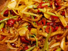 -巴依老爷新疆美食(常营店)