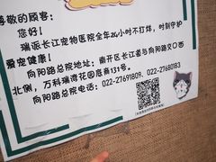 -瑞派长江宠物医院·猫科·外科·24小时夜护(谊城公寓分院)
