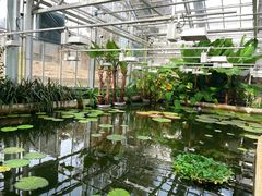 -国家植物园南园