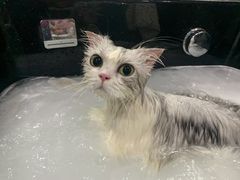 -宠颐生嘉德动物医院