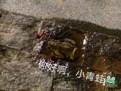 -上海滴水湖皇冠假日酒店