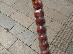 -和禄德冰糖葫芦