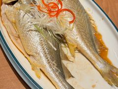 -波螺油子青岛本帮菜(银座店)