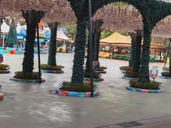 -海合安成都极地海洋公园