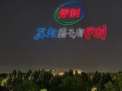 -南京眼步行桥