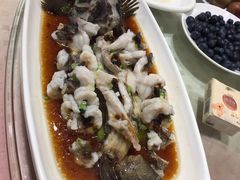 清蒸石斑鱼-顺风海鲜港(金玉兰店)