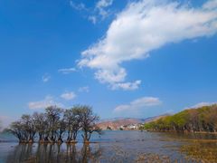 -大理洱海